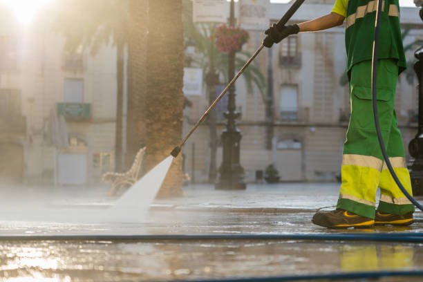 Best Sidewalk and Walkway Cleaning  in Shakopee, MN